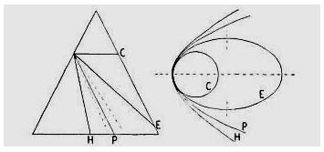 Fig. 34. To obtain the conic sections shown at the right, a cone is cut by planes as drawn at the left: parallel to the base for a circle, C; parallel to a side for a parabola, P; between these for an ellipse, E; in a plane steeper than the parabola for a hyperbola. Rotation of a circle around any axis produces a spheroidal (spherical) surface. Rotation of the parabola and hyperbola about their respective axes produces surfaces of revolution called paraboloid and hyperboloid. Rotation of the ellipse about its major axis produces an ellipsoid; about its minor axis, an oblate spheroid.